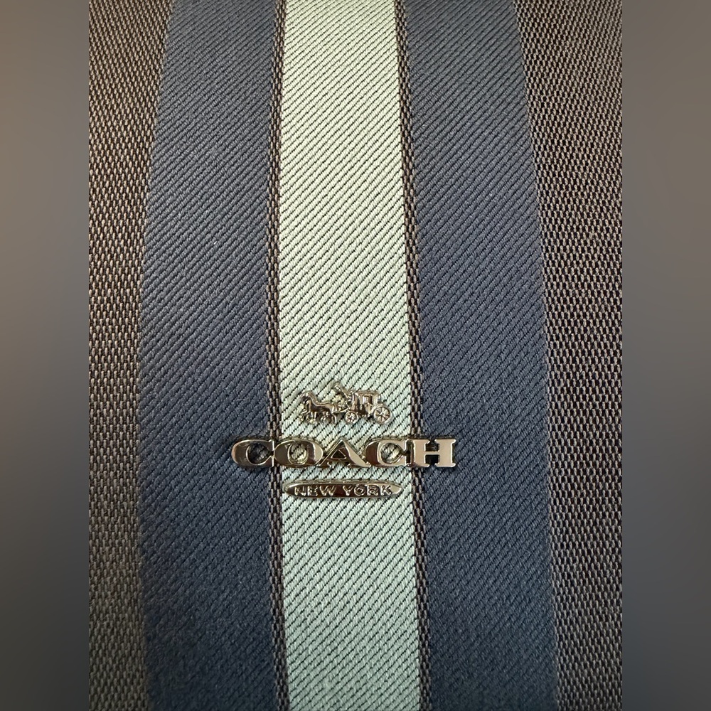 Coach Varsity Stripe Hobo Bag - Picture 13 of 13